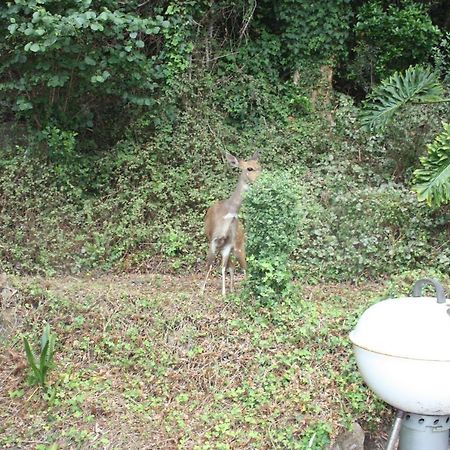 Cloverleigh Guest House Wilderness Bagian luar foto