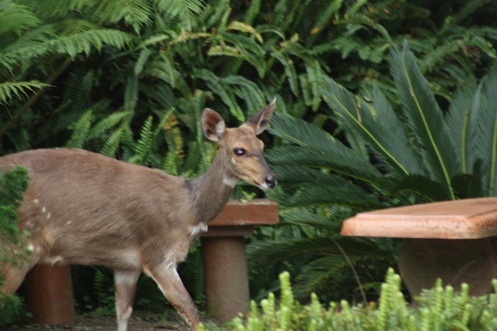 Cloverleigh Guest House Wilderness Bagian luar foto