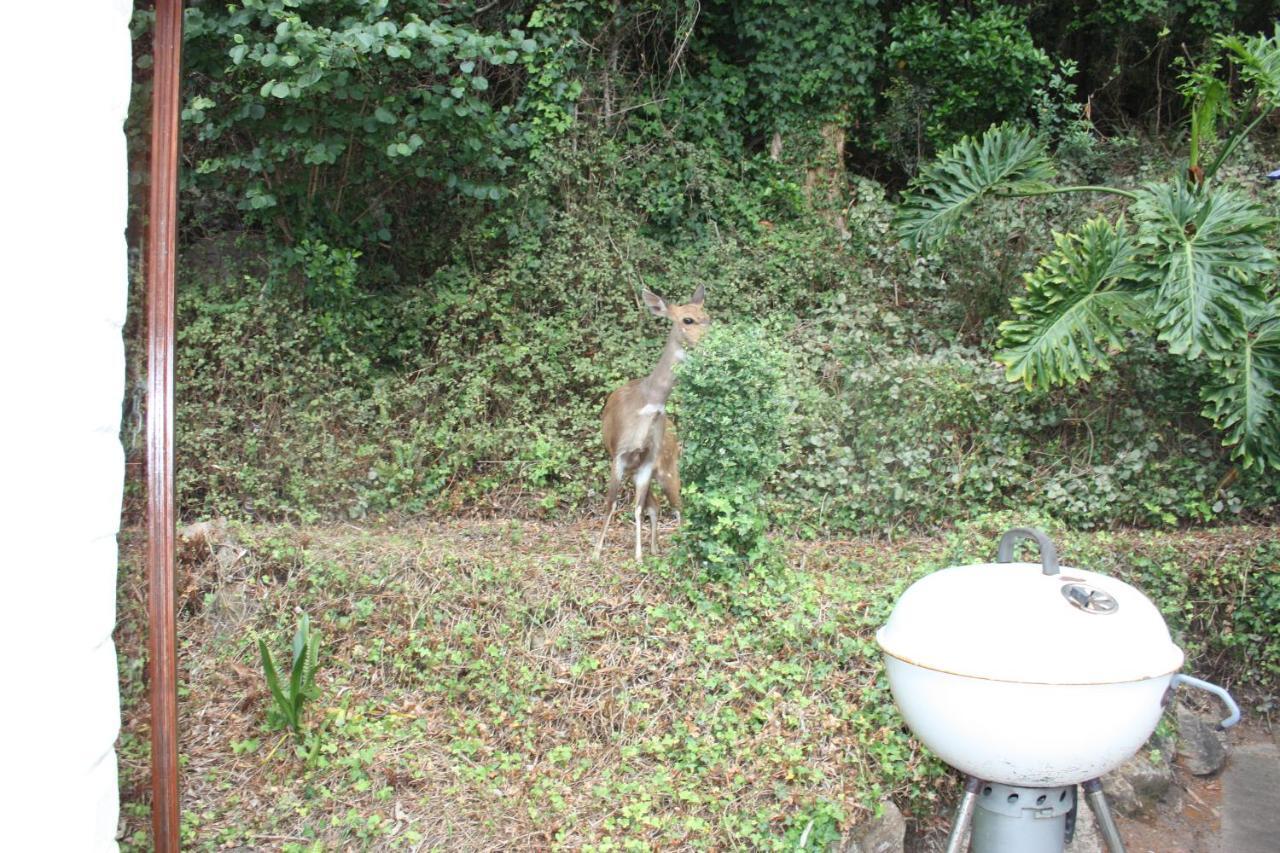 Cloverleigh Guest House Wilderness Bagian luar foto